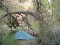 Camping at what we called Cottonwood Grove.