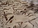 Patterns in the dried mud.